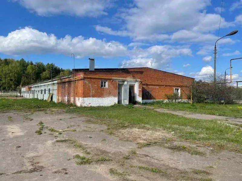 Склад в Московская область, Одинцовский городской округ, д. Малые ... - Фото 1