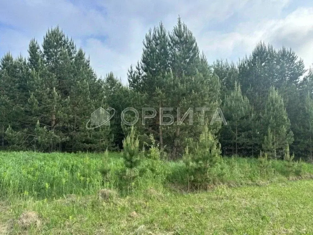 Участок в Тюменская область, Нижнетавдинский муниципальный округ, д. ... - Фото 2