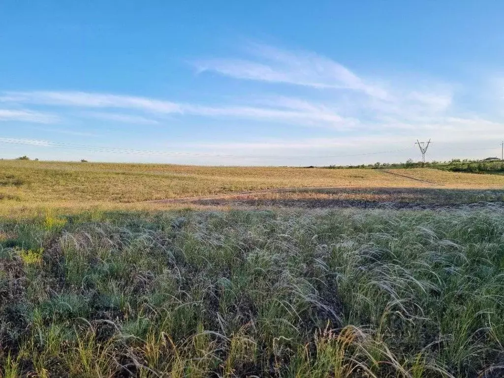 Участок в Волгоградская область, Городищенский район, Царицынское ... - Фото 1