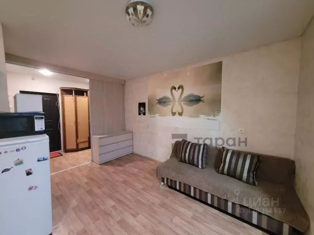 Студия Челябинская область, Чебаркуль ул. Карпенко, 2 (28.0 м) - Фото 2