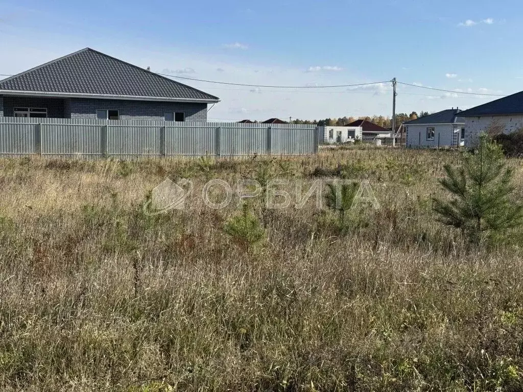 Участок в Тюменская область, Тюменский муниципальный округ, с. ... - Фото 2