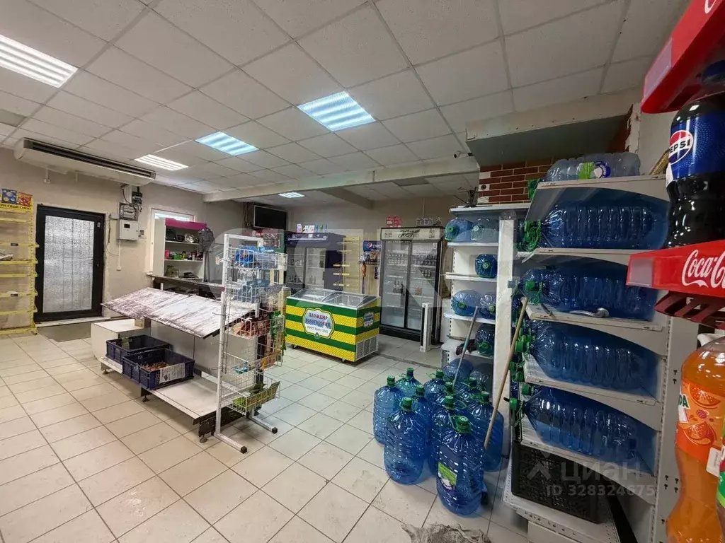 Торговая площадь в Московская область, Раменский муниципальный округ, ... - Фото 1