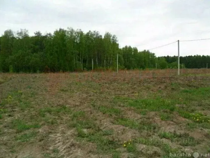 Участок в Ростовская область, Новочеркасск Ясная ул., 27/8 (13.0 сот.) - Фото 1