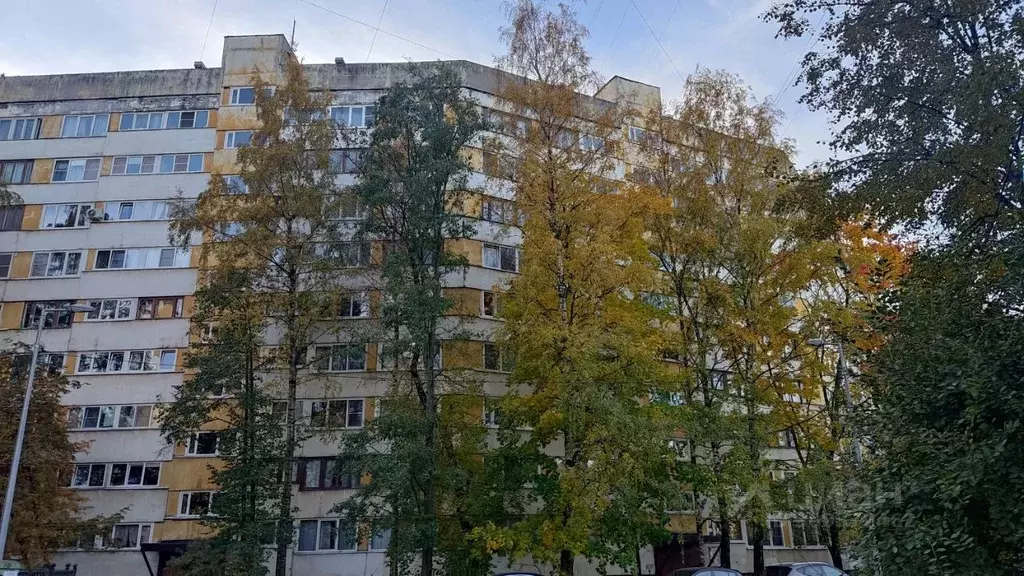 2-к кв. Санкт-Петербург ул. Кустодиева, 20К2 (47.4 м) - Фото 1