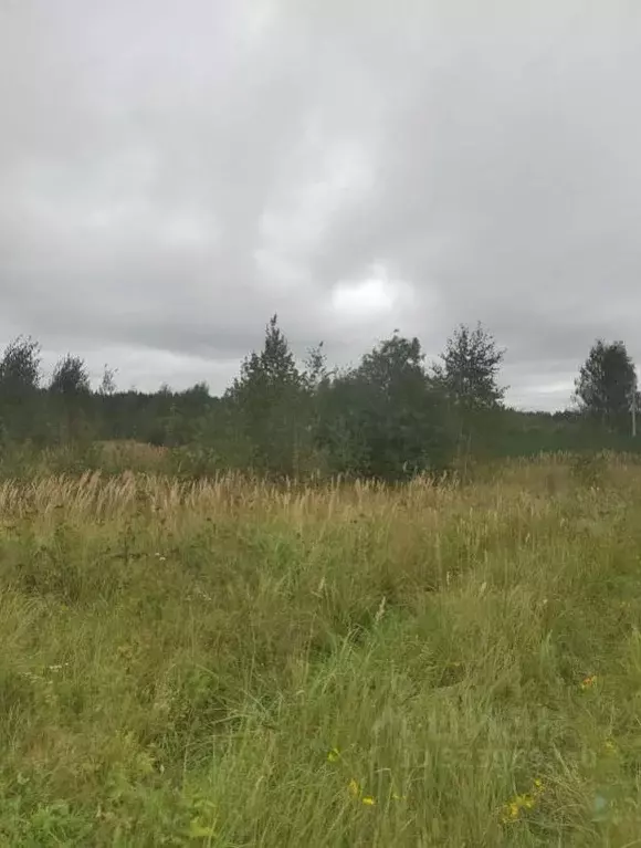 Участок в Московская область, Коломна городской округ, с. Нижнее ... - Фото 0