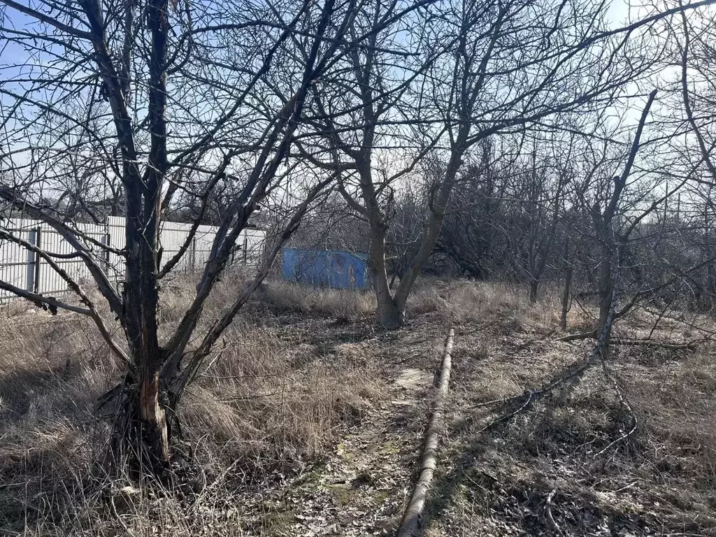 Участок в Волгоградская область, Волгоград Дзержинец СНТ, Винновский ... - Фото 2