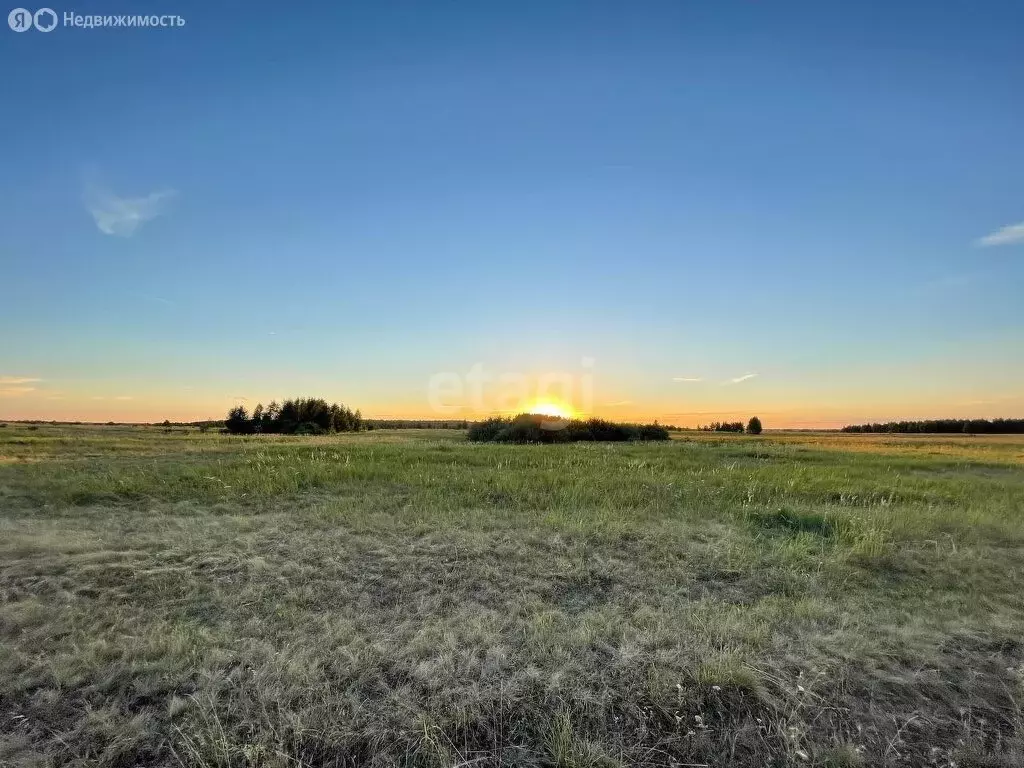 Участок в Печёнкинское сельское поселение, село Шибаево (166.06 м) - Фото 1