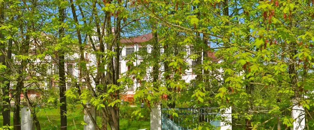 Помещение свободного назначения в Ивановская область, Кинешма ул. ... - Фото 2