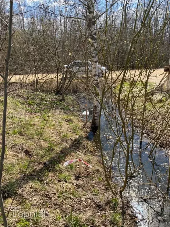 Участок в Ленинградская область, Кингисеппский район, Нежновское ... - Фото 2