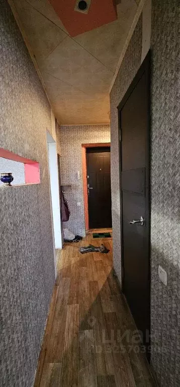 1-к кв. Саратовская область, Маркс просп. Строителей (29.8 м) - Фото 2