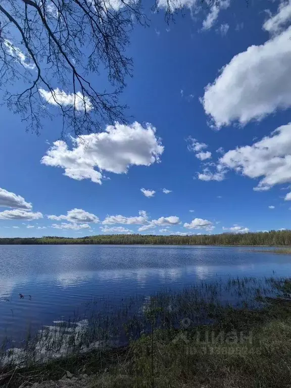 Участок в Ленинградская область, Всеволожский район, Токсовское ... - Фото 1
