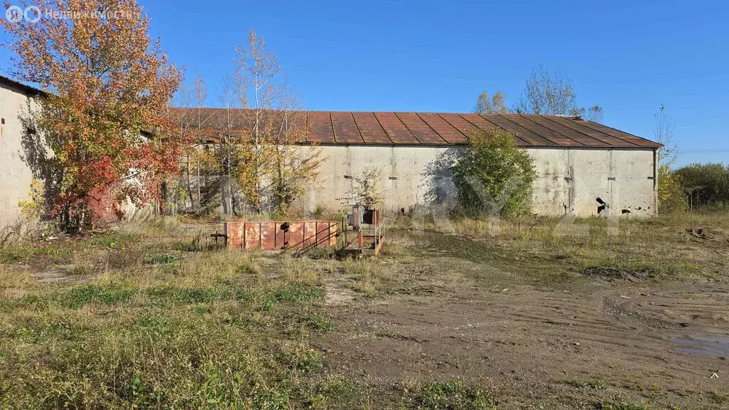 Помещение свободного назначения (2336 м) - Фото 0