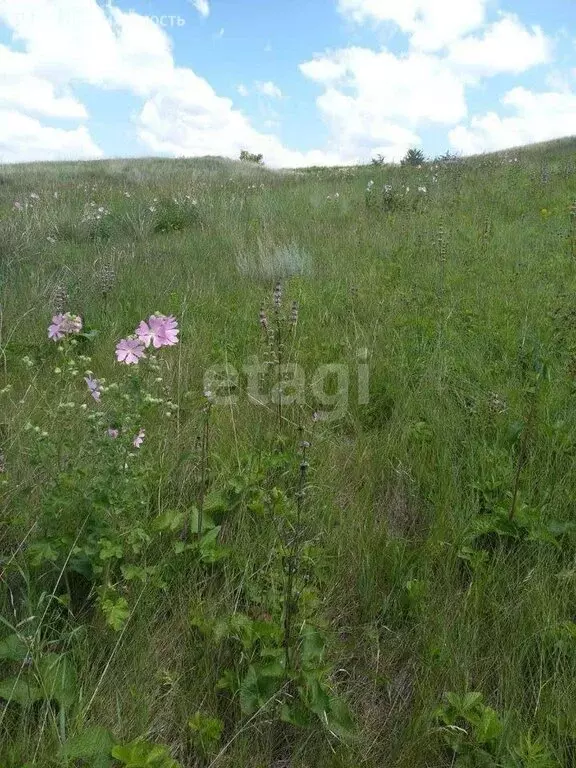 Участок в Алтайский край, Барнаул (10 м) - Фото 1