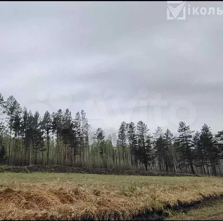 Участок 10 сот. (ИЖС) - Фото 1