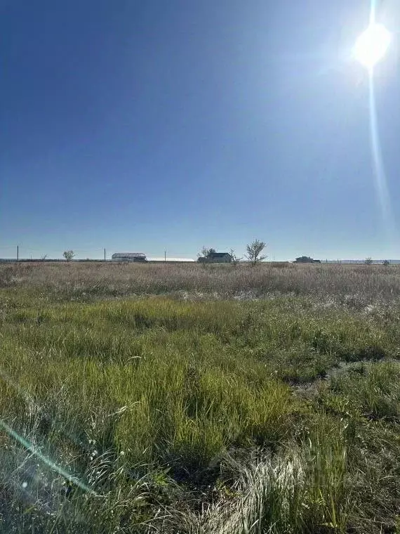 Участок в Самарская область, Красноярский район, Светлое Поле с/пос, ... - Фото 1