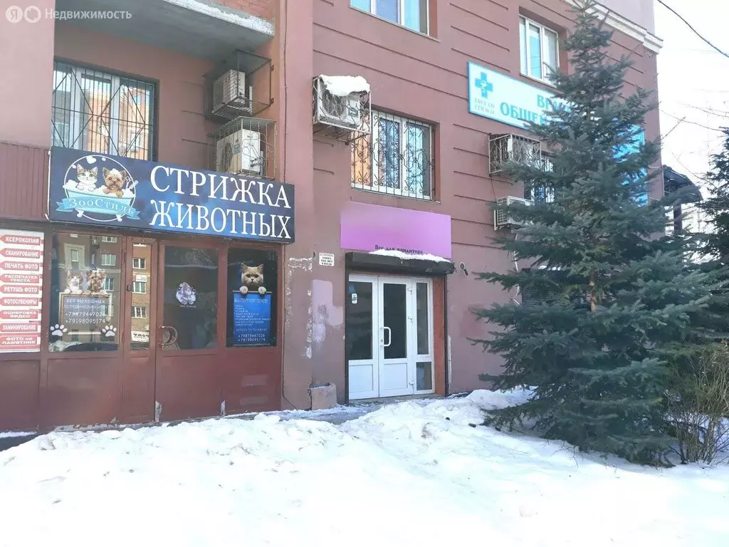 Помещение свободного назначения (37.4 м) - Фото 2