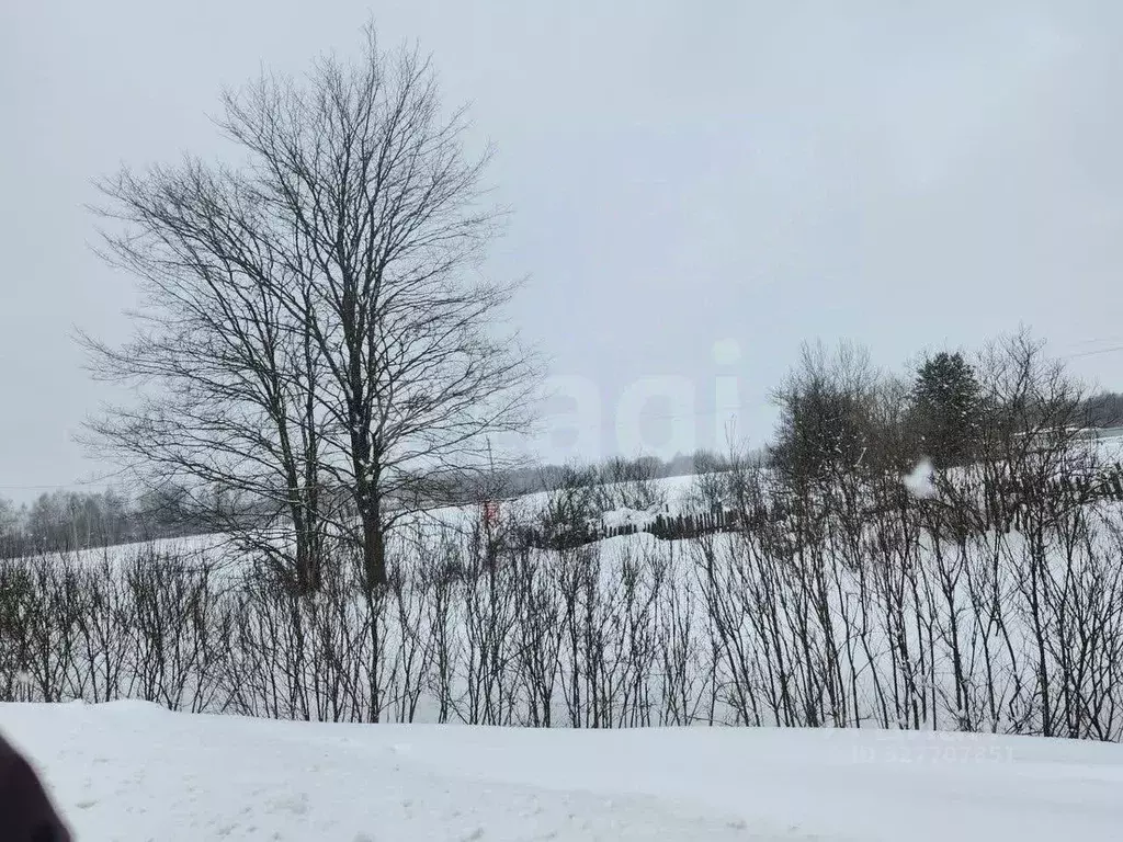 Дом в Ярославская область, Ярославский муниципальный округ, д. ... - Фото 1