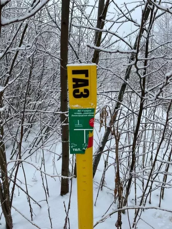 Участок в Ленинградская область, Выборгский район, Полянское с/пос, ... - Фото 2