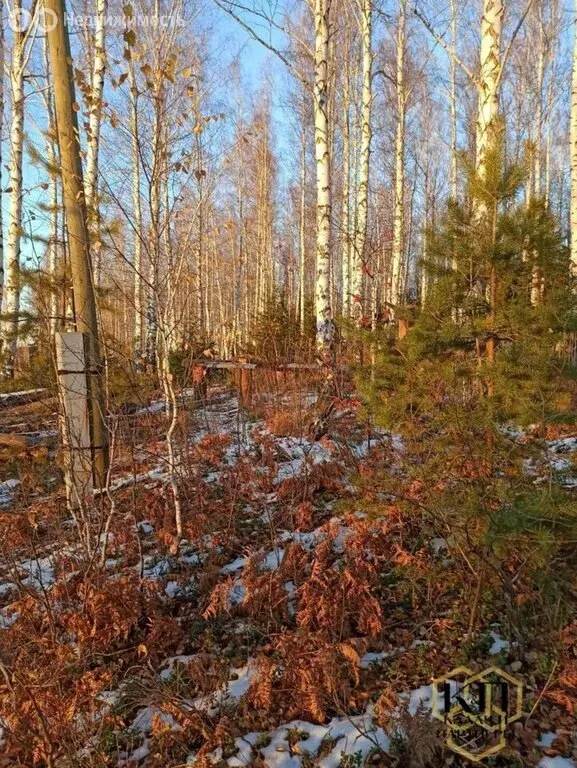 Участок в посёлок городского типа Верх-Нейвинский, улица Червякова, 19 ... - Фото 0
