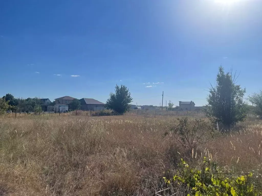 Участок в Волгоградская область, Среднеахтубинский район, Фрунзенское ... - Фото 2