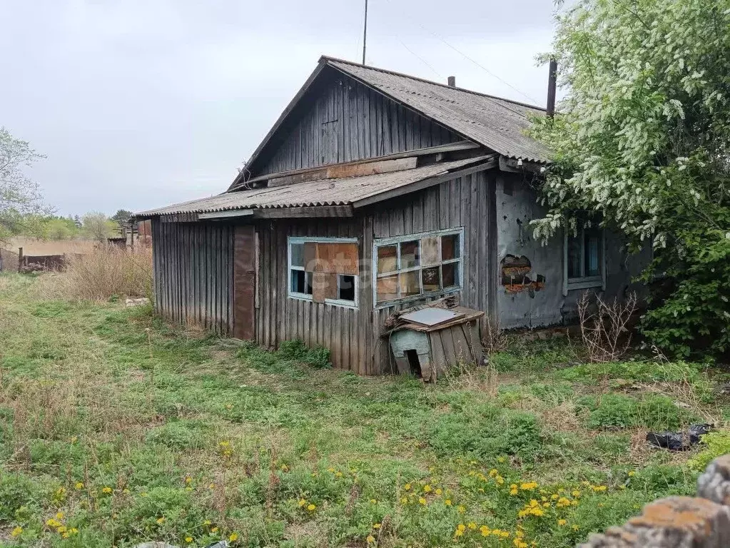 Дом в Амурская область, Белогорский муниципальный округ, с. Никольское ... - Фото 0