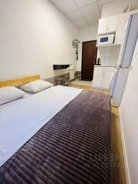 Студия Самарская область, Самара ул. Куйбышева, 81 (20.0 м) - Фото 1