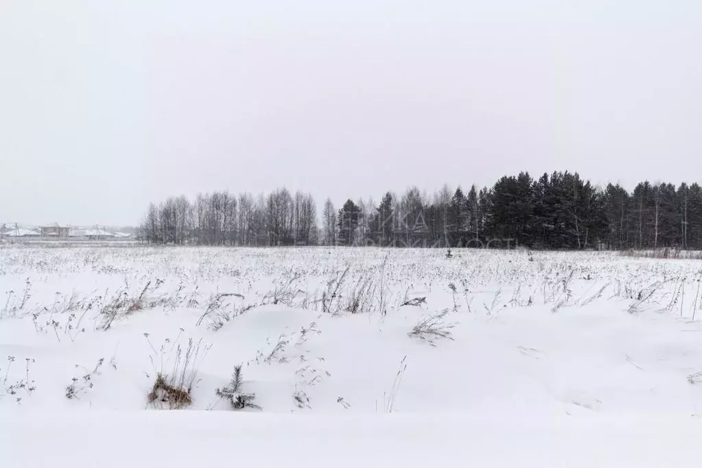 Участок в Тюменская область, Тюменский район, д. Падерина  (8.0 сот.) - Фото 1