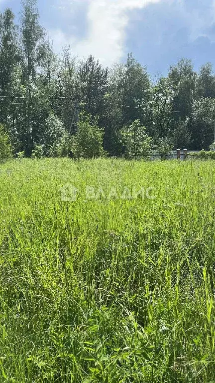 Продается участок в д. Малышево - Фото 1