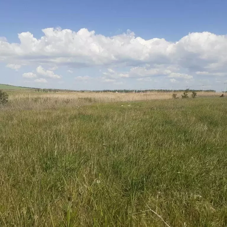 Участок в Краснодарский край, Темрюк ул. Троицкая (7.0 сот.) - Фото 2