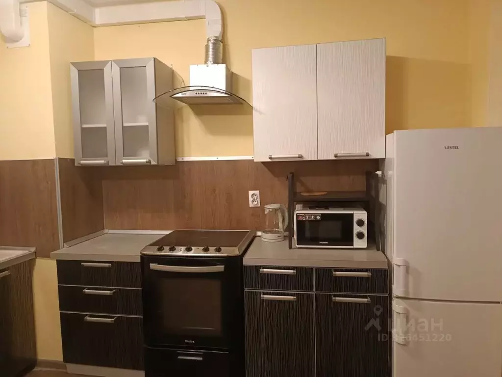 Студия Санкт-Петербург пос. Парголово, ул. Николая Рубцова, 3 (25.5 м) - Фото 1