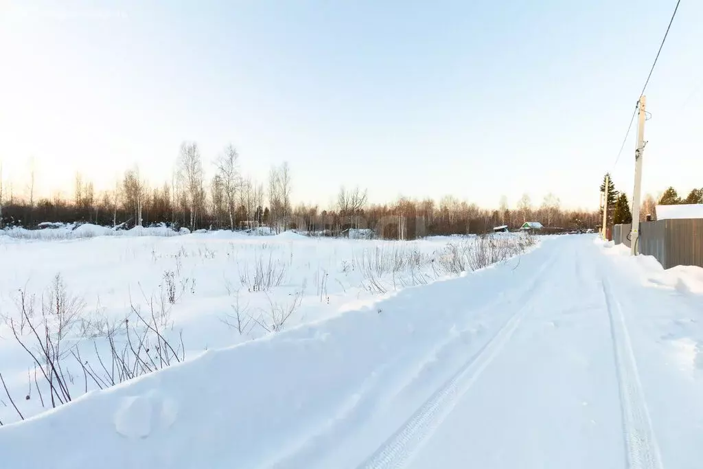 Участок в Тюменский муниципальный округ, СНТ Маяк, Сосновая улица ... - Фото 2