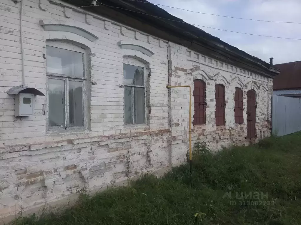 Дом в Пензенская область, Городищенский район, с. Павло-Куракино ул. ... - Фото 1