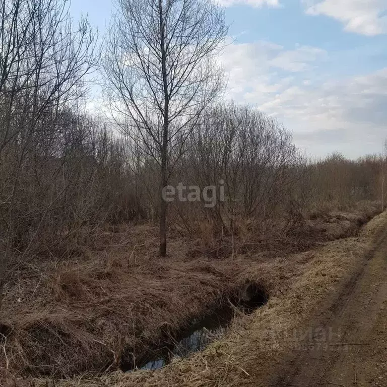 Участок в Московская область, Дмитровский городской округ, Интер СНТ ... - Фото 0