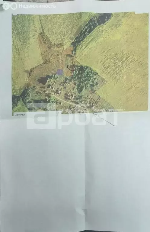 Участок в Костромской район, Апраксинское сельское поселение, деревня ... - Фото 2