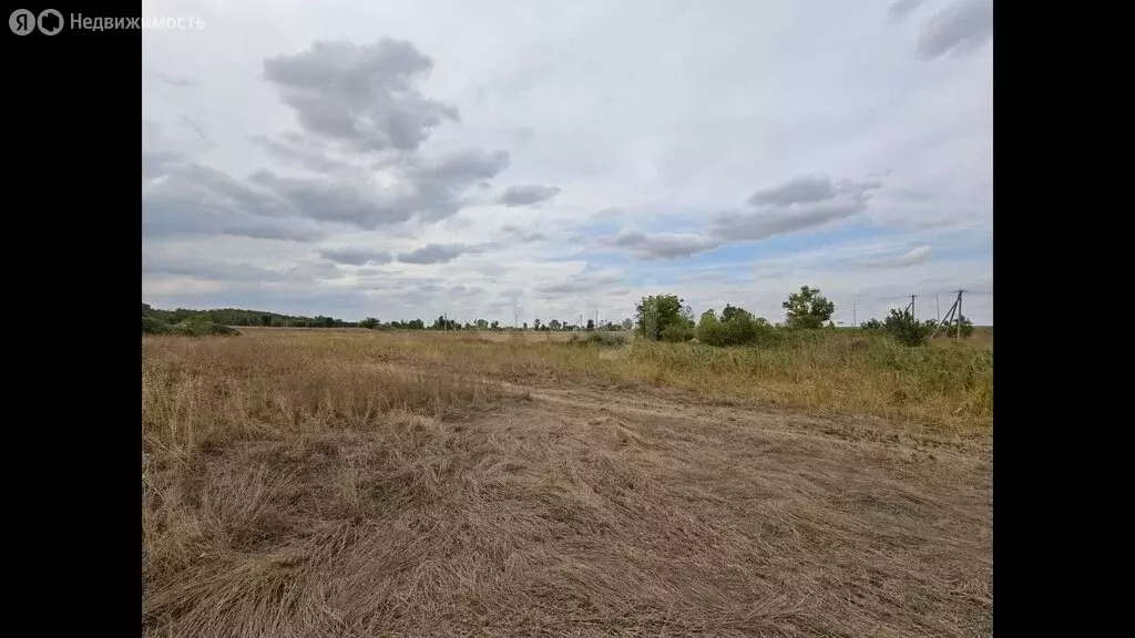 Участок в Сакский район, Ореховское сельское поселение, село Чеботарка ... - Фото 2