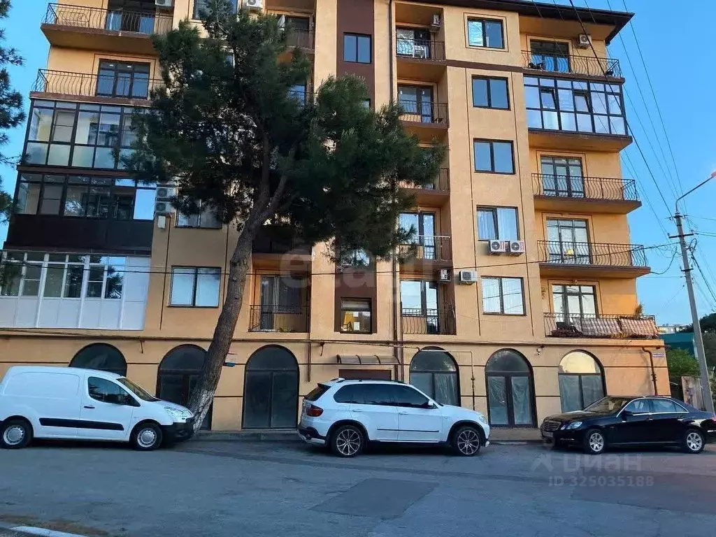 Помещение свободного назначения в Краснодарский край, Геленджик ул. ... - Фото 1