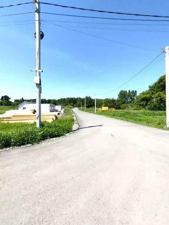 Участок в Новосибирская область, Новосибирский район, Кудряшовский ... - Фото 2