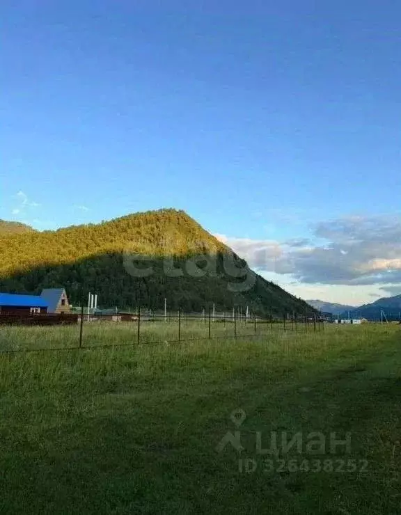 Участок в Алтай, Чемальский район, Элекмонарское с/пос, с. Элекмонар ... - Фото 1
