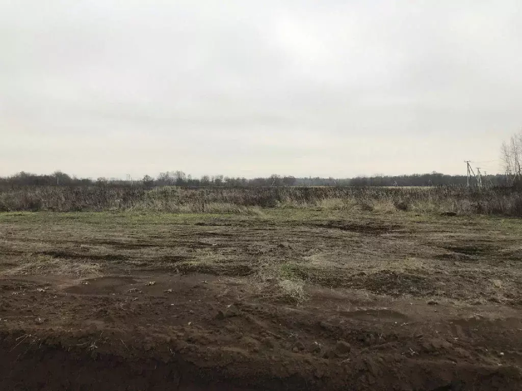 Продается участок в д. Заболотье - Фото 2