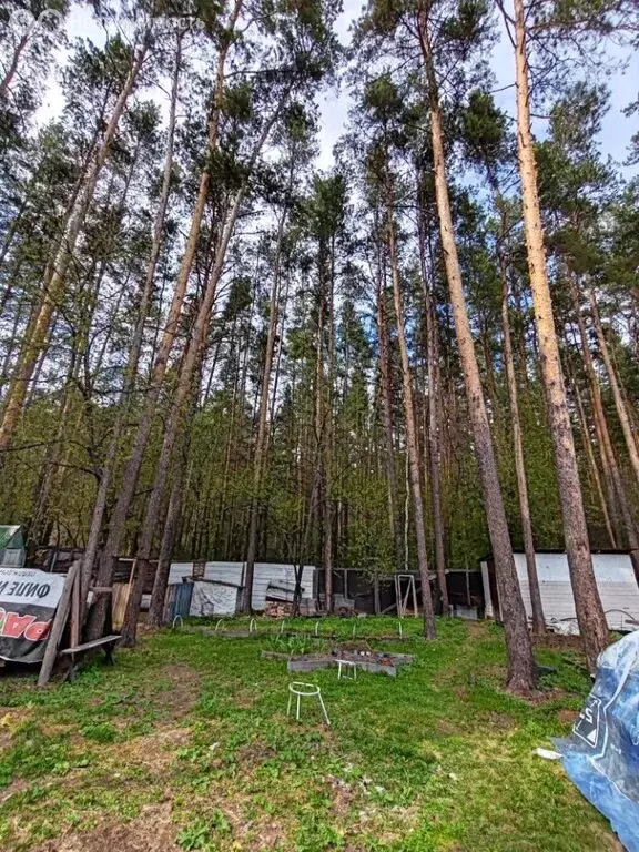 Участок в Екатеринбург, жилой район Изоплит (10 м) - Фото 2