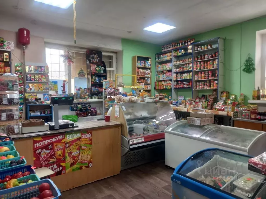 Помещение свободного назначения в Пермский край, Губахинский ... - Фото 2