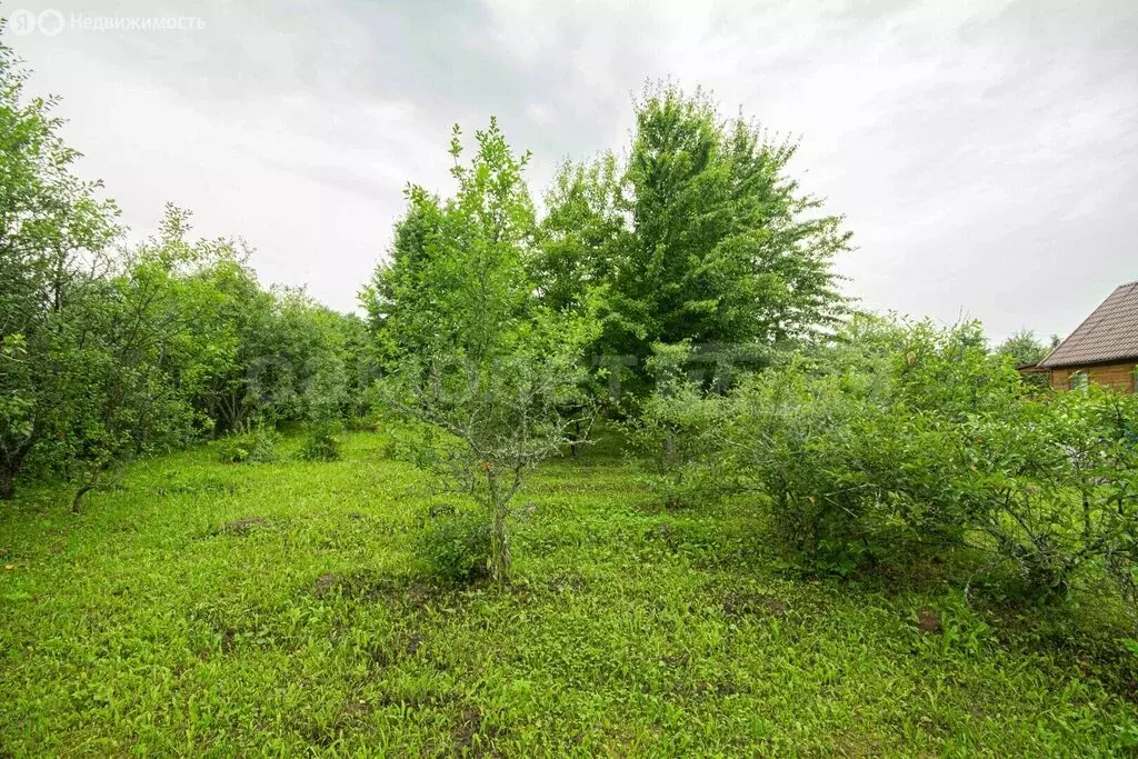 Участок в Наро-Фоминский городской округ, СНТ Клён (10 м) - Фото 1