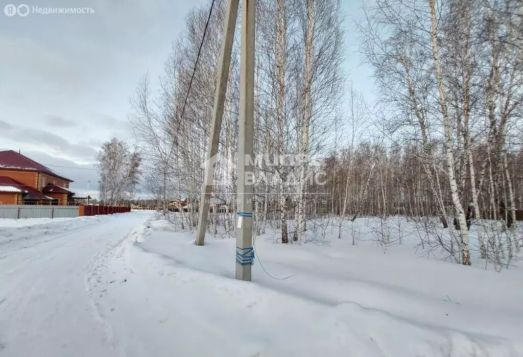 Участок в село Надеждино, ДНП Берёзовый Стан, улица Берёзовая Роща (25 ... - Фото 1