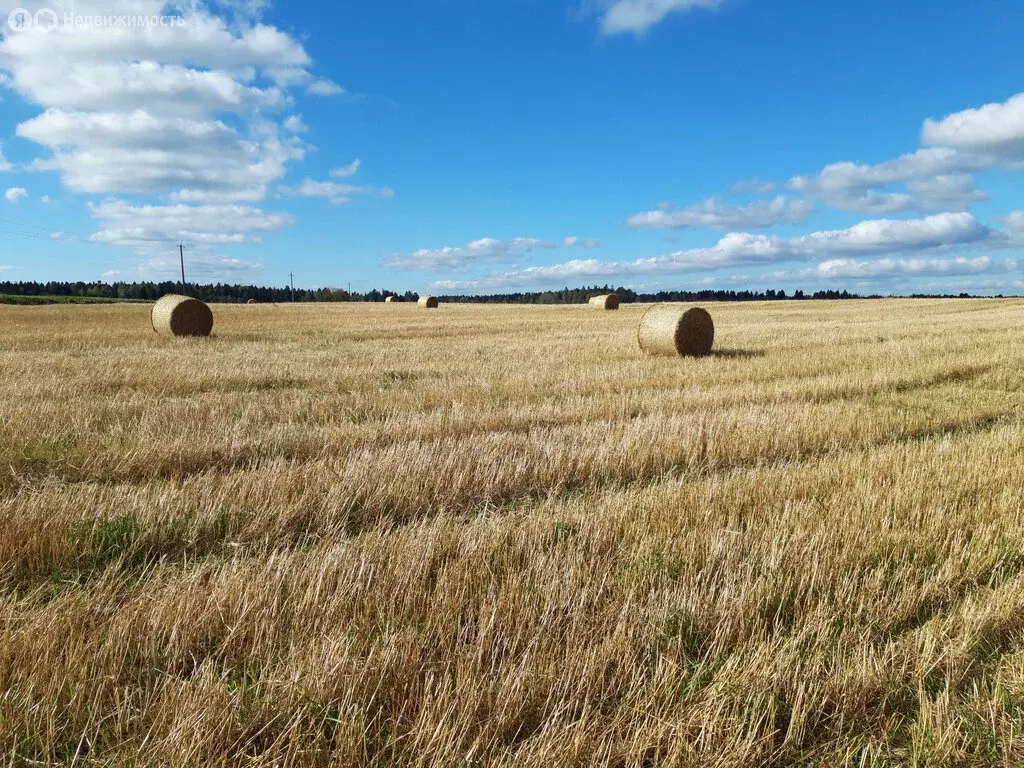 Дом в Клопицкое сельское поселение, деревня Каськово, Дубовый проезд, ... - Фото 1