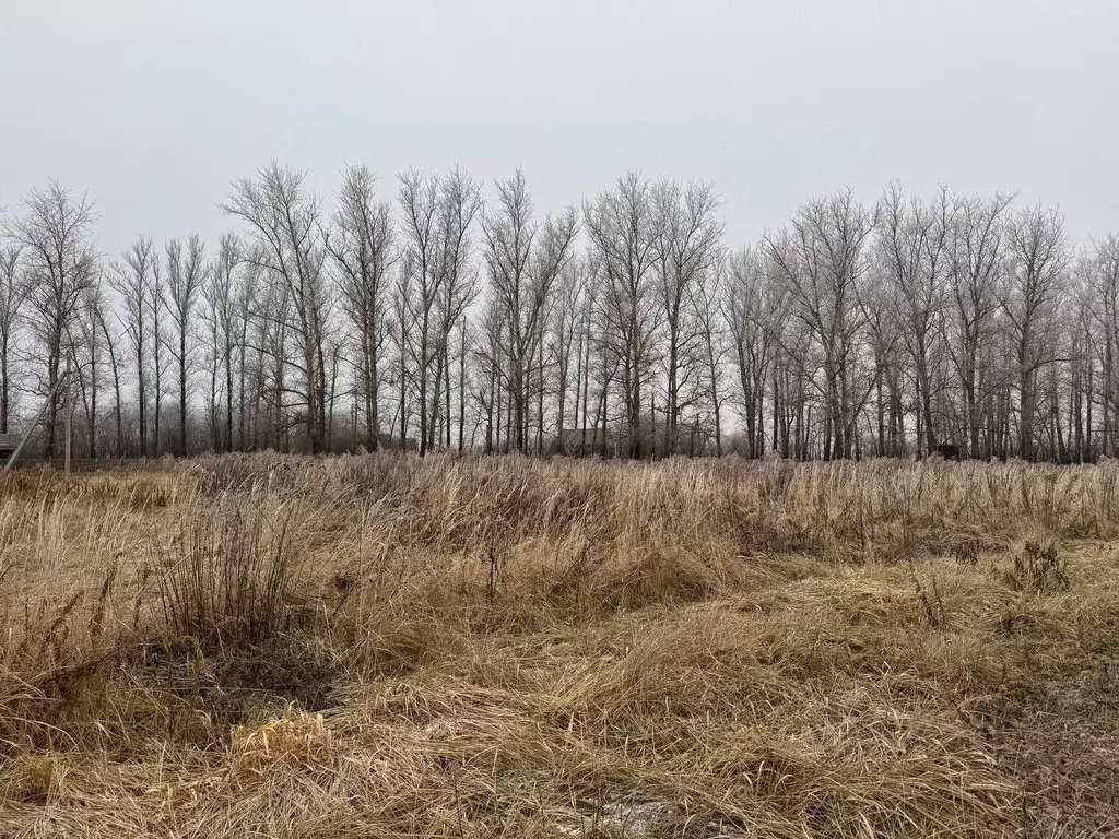 Участок в Московская область, Кашира городской округ, д. Тарасково  ... - Фото 1