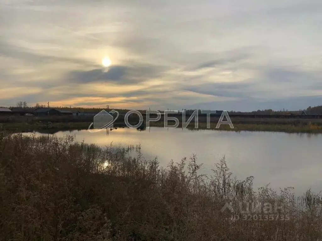 Участок в Тюменская область, Нижнетавдинский район, Венеция СНТ  (8.0 ... - Фото 1