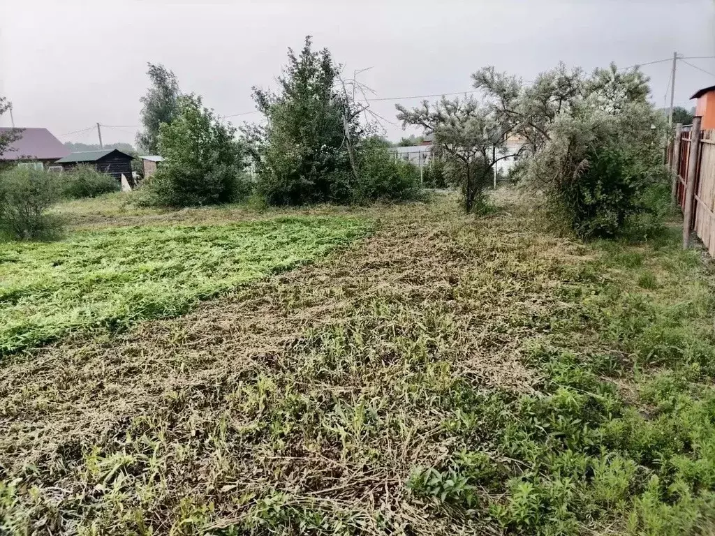 Участок в Новосибирская область, Бердск Вега-4 СНТ, ул. 2-я (10.06 ... - Фото 2