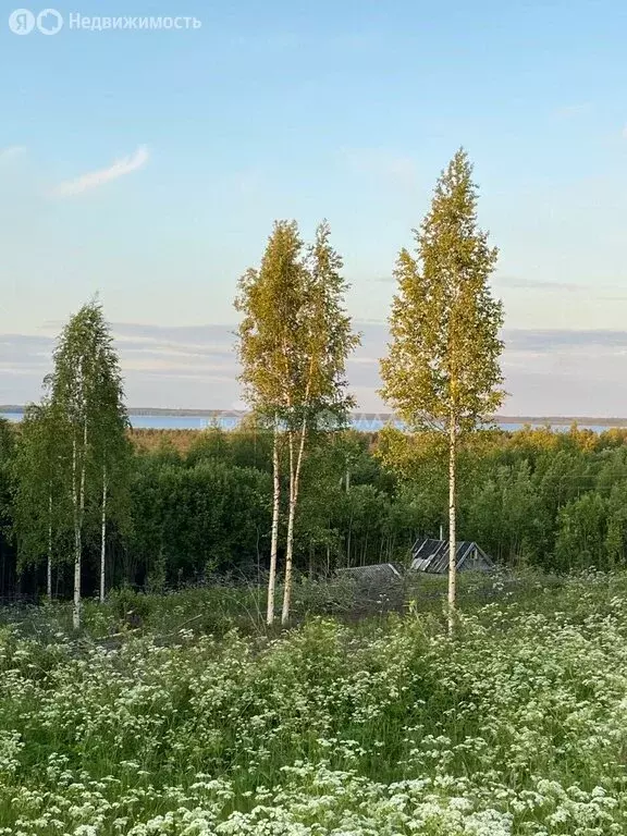 Участок в Архангельская область, муниципальный округ Северодвинск, ... - Фото 0
