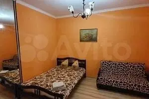 Комната 48 м, 1/1 эт. - Фото 1