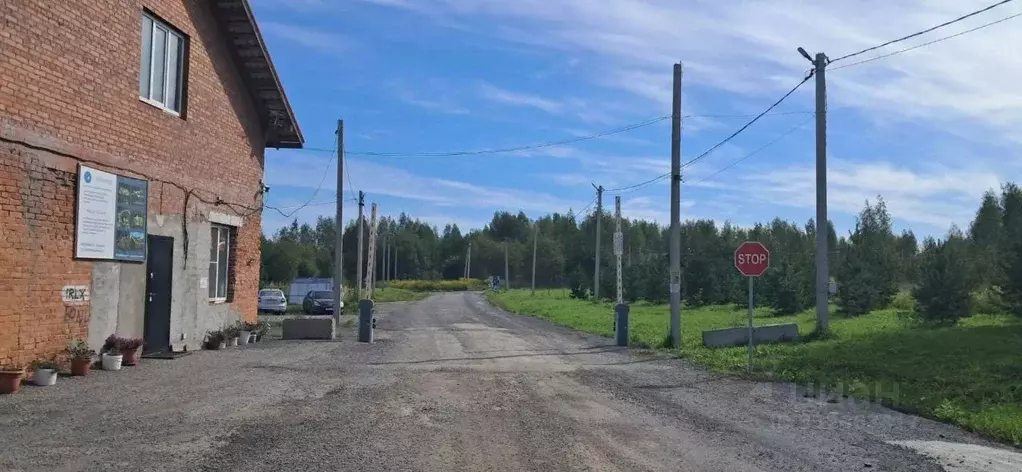 Участок в Новосибирская область, Новосибирский район, Барышевский ... - Фото 2